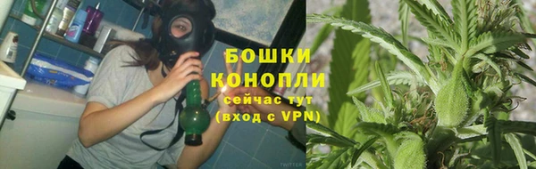 каннабис Арсеньев