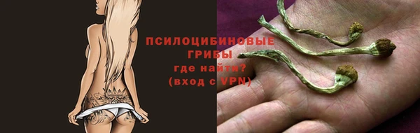 каннабис Арсеньев