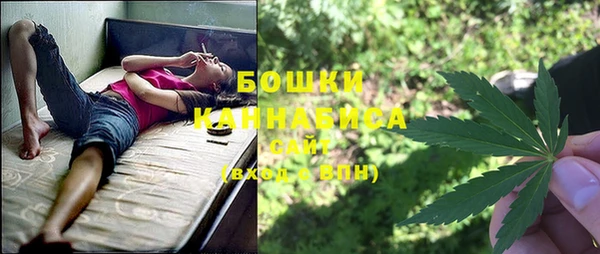 дживик Аркадак
