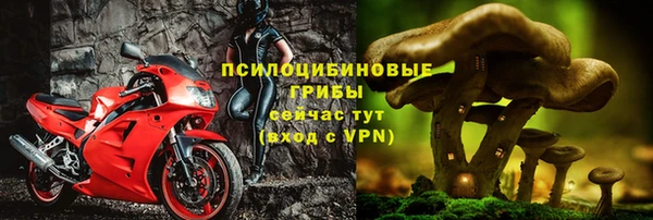 дживик Аркадак